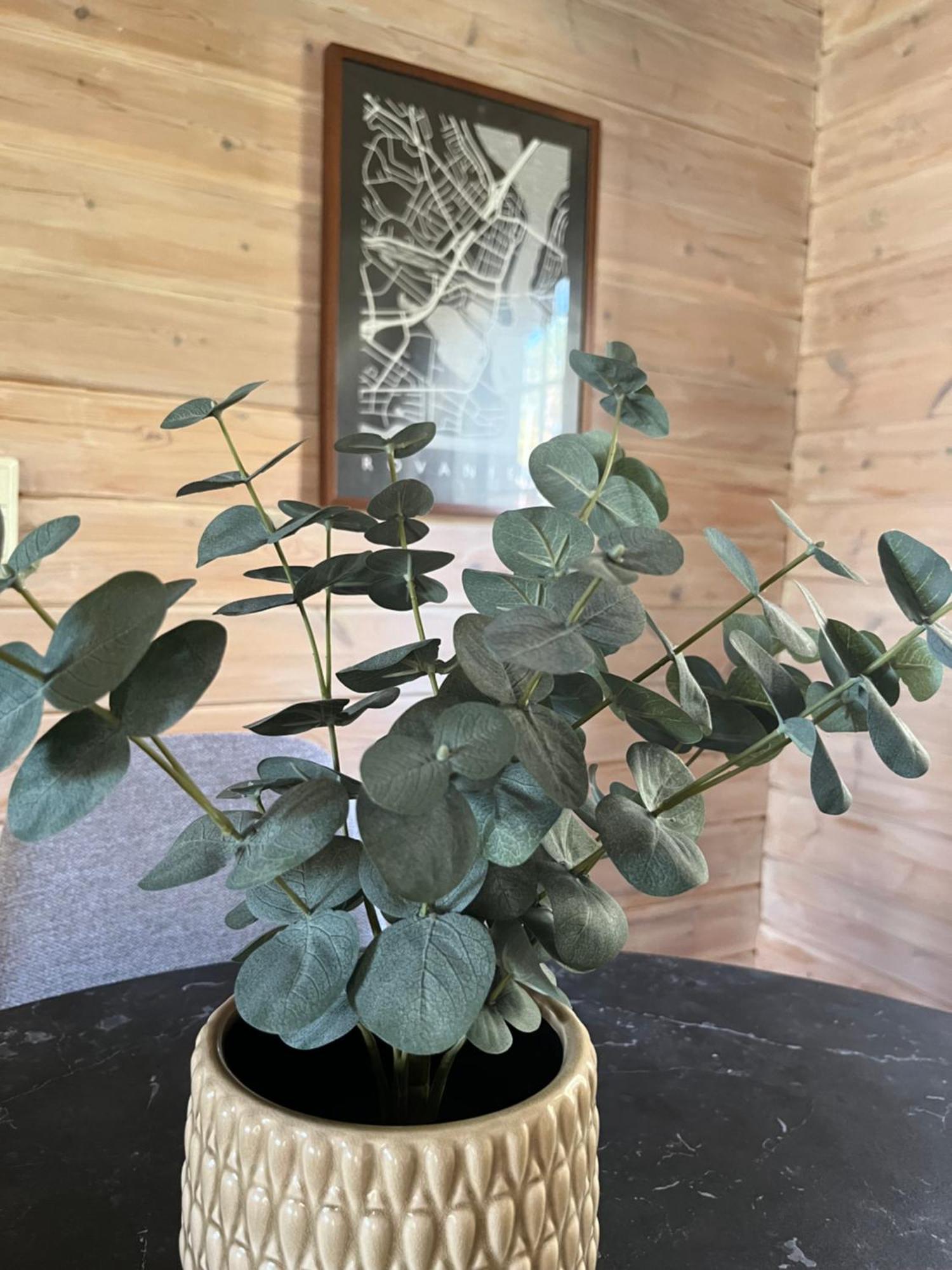 Ahosen Lomamoekit Villa Vikajarvi Luaran gambar