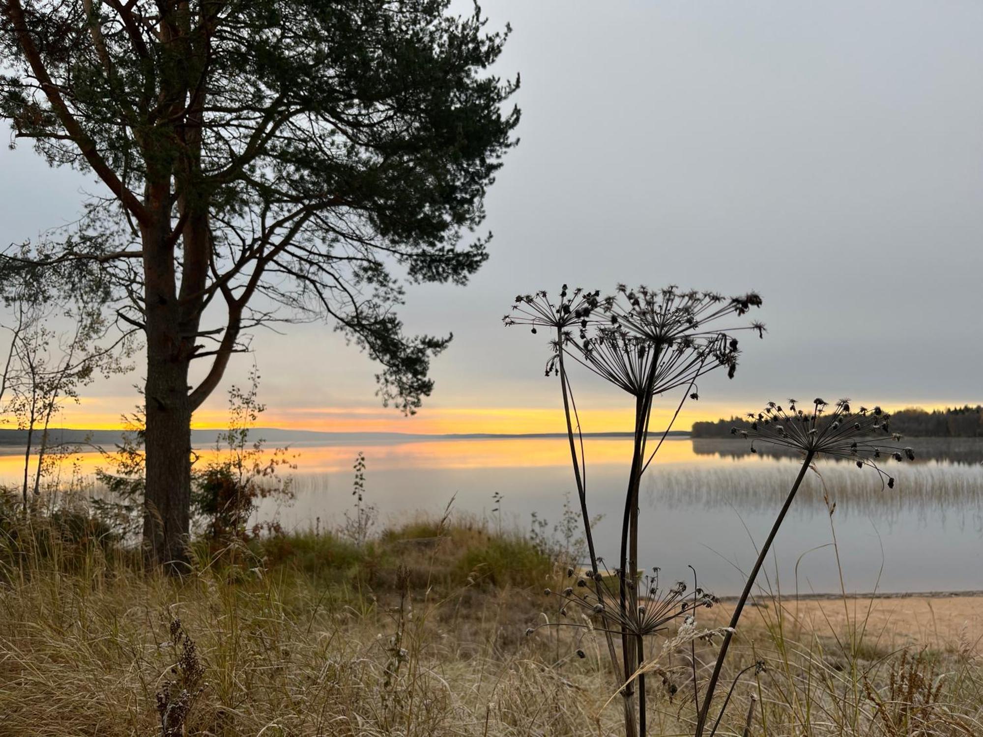 Ahosen Lomamoekit Villa Vikajarvi Luaran gambar