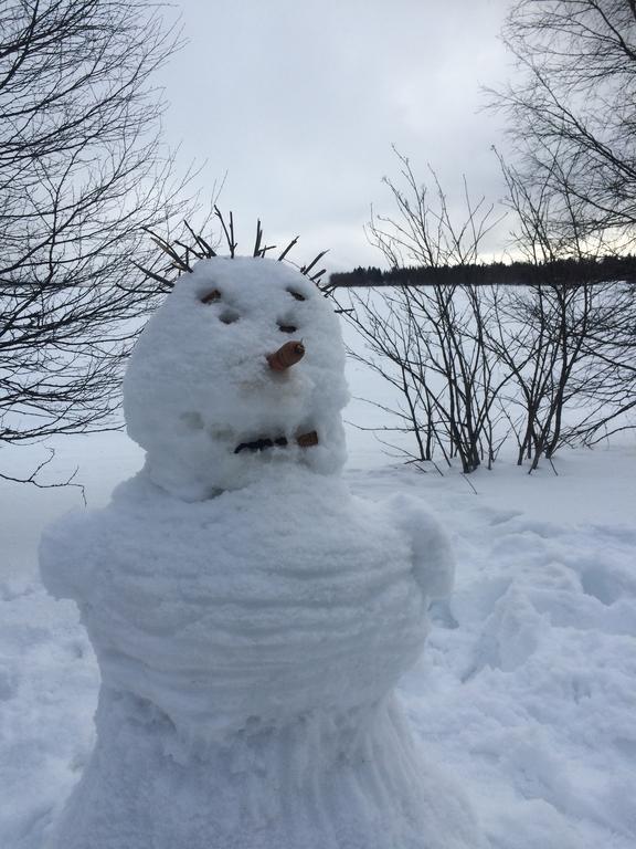 Ahosen Lomamoekit Villa Vikajarvi Luaran gambar
