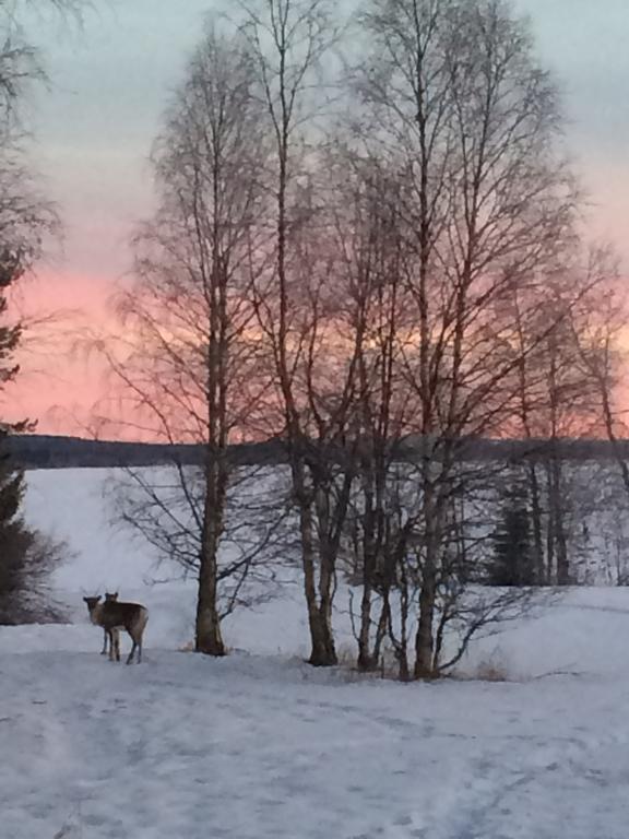 Ahosen Lomamoekit Villa Vikajarvi Luaran gambar